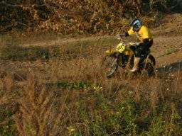 Classic Offroad Festival 2005