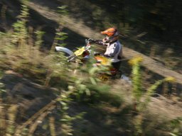 Classic Offroad Festival 2006